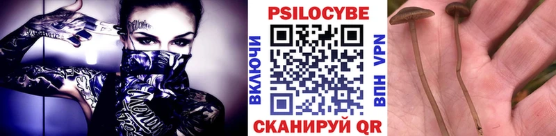 Галлюциногенные грибы MAGIC MUSHROOMS blacksprut рабочий сайт Боровичи